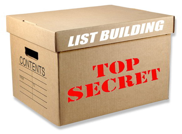 How To Make Money Online – Do You Find List Building A Scary Chore?